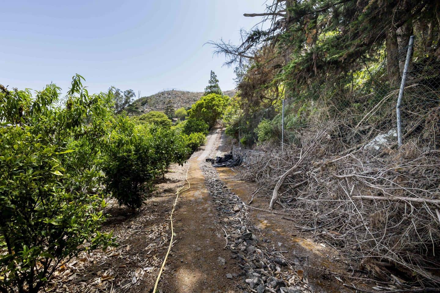 Terreno Não Urbanizado para venda em Tegueste - 385 000 € (Ref: 10004361)