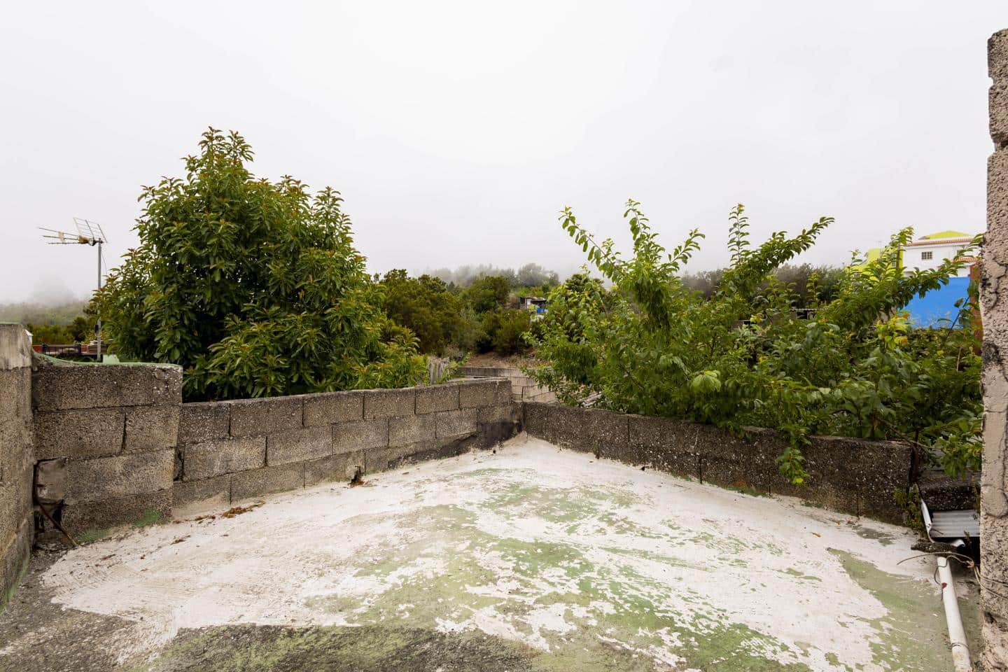 5 sypialnia Finka/Dom wiejski na sprzedaż w Icod de los Vinos - 175 000 € (Ref: 10026195)