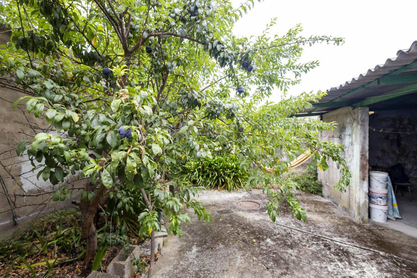 5 sypialnia Finka/Dom wiejski na sprzedaż w Icod de los Vinos - 175 000 € (Ref: 10026195)