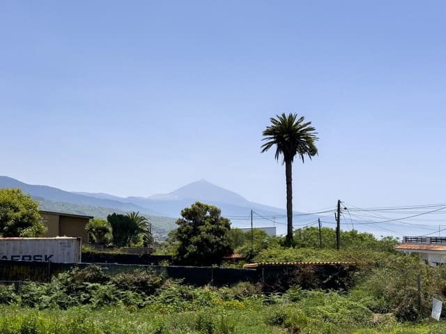 Mark till salu i Tacoronte - 159 900 € (Ref: 10099005)