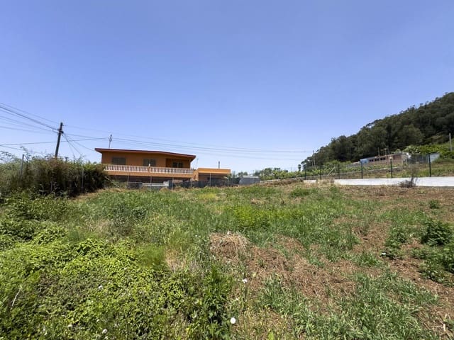 Mark till salu i Tacoronte - 159 900 € (Ref: 10099005)