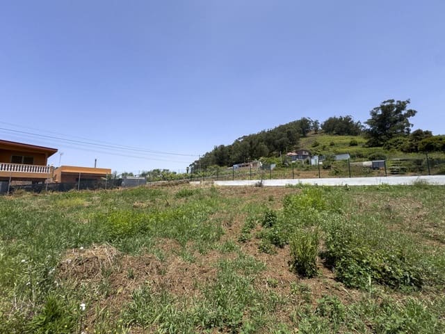 Mark till salu i Tacoronte - 159 900 € (Ref: 10099005)