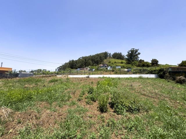 Mark till salu i Tacoronte - 159 900 € (Ref: 10099005)