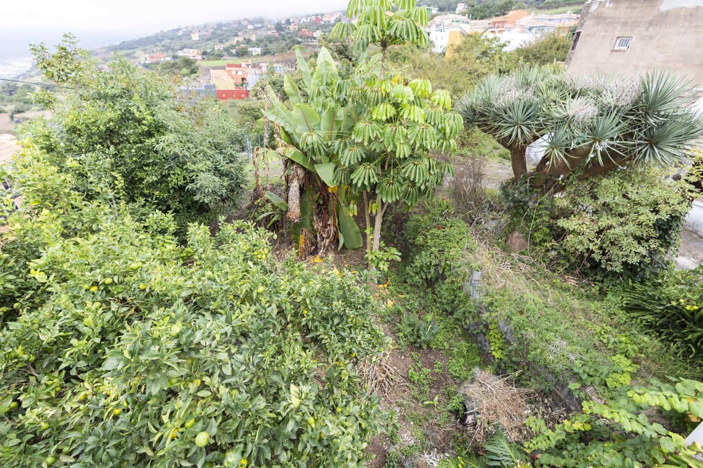 Chalet de 3 habitaciones en Los Realejos en venta con garaje - 275.500 € (Ref: 10183703)
