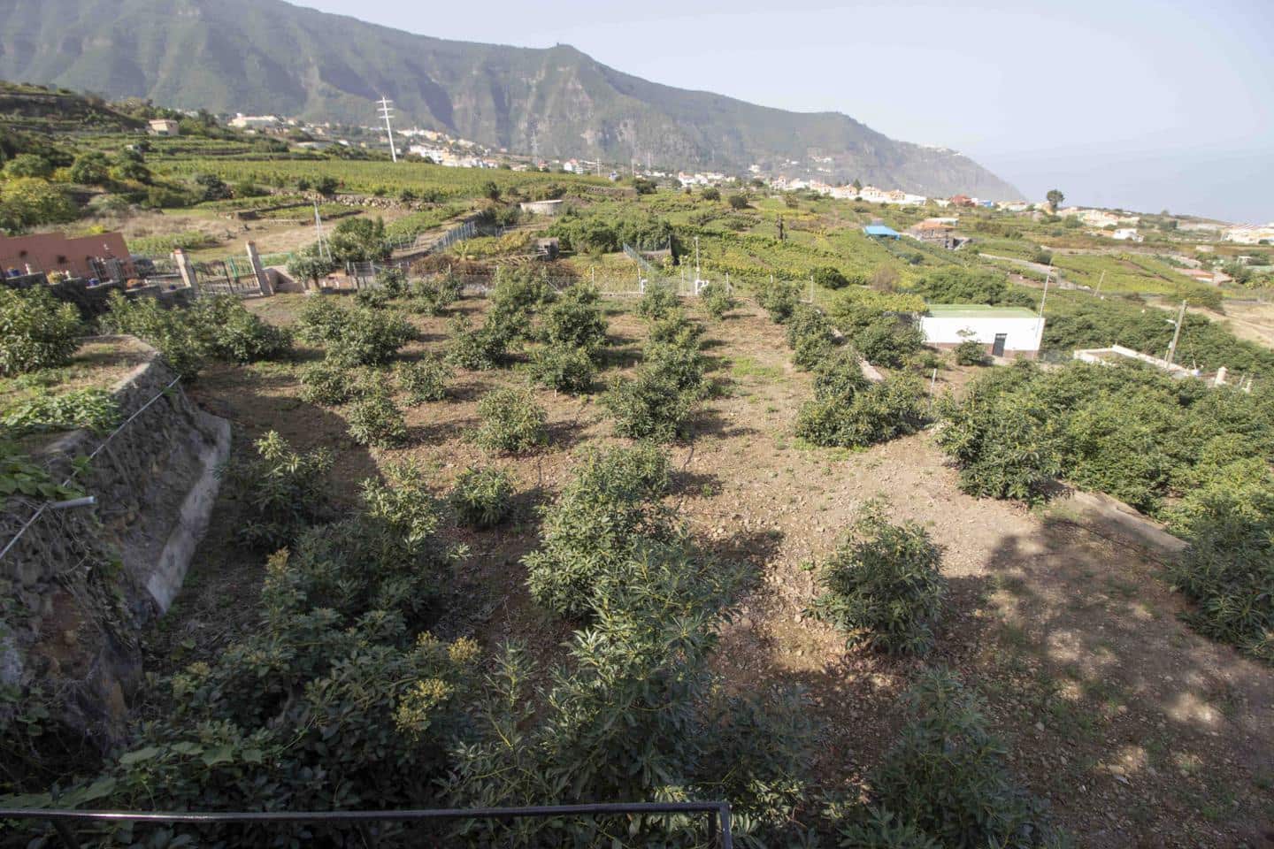 3 soveværelse Villa til salg i Los Realejos - € 630.000 (Ref: 7438244)