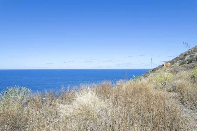 Mark till salu i Tacoronte - 160 000 € (Ref: 7834341)