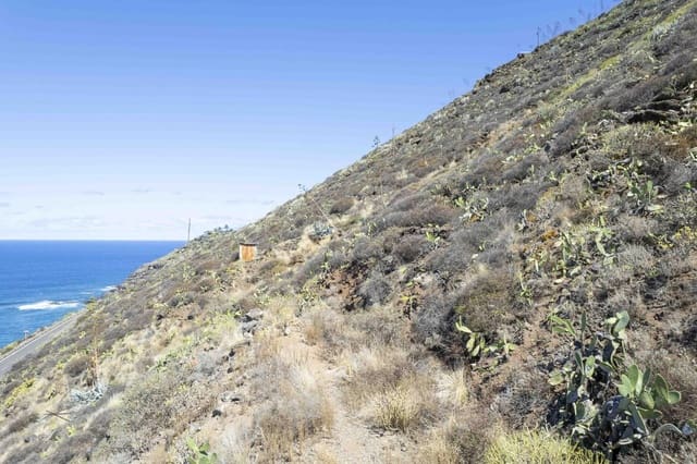 Mark till salu i Tacoronte - 160 000 € (Ref: 7834341)