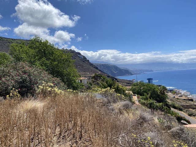 Mark till salu i Tacoronte - 160 000 € (Ref: 7834341)