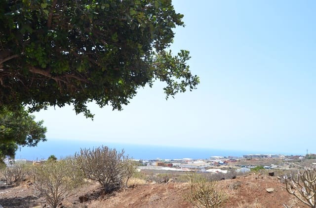 Undeveloped Land for sale in Barranco Grande, Santa Cruz de Tenerife - € 65,000 (Ref: 7883158)