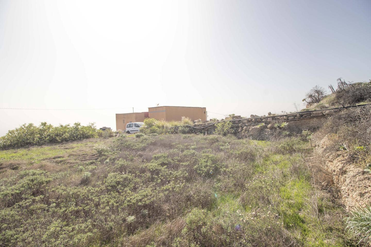 Grunde uden byggetilladelser til salg i Fasnia - € 74.000 (Ref: 8003068)