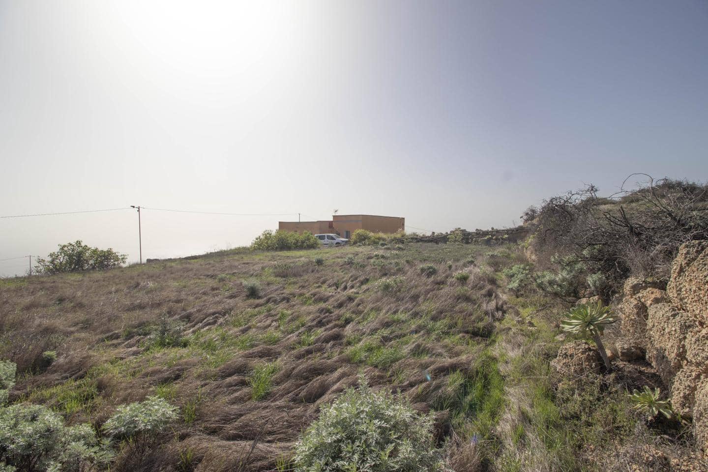 Grunde uden byggetilladelser til salg i Fasnia - € 74.000 (Ref: 8003068)