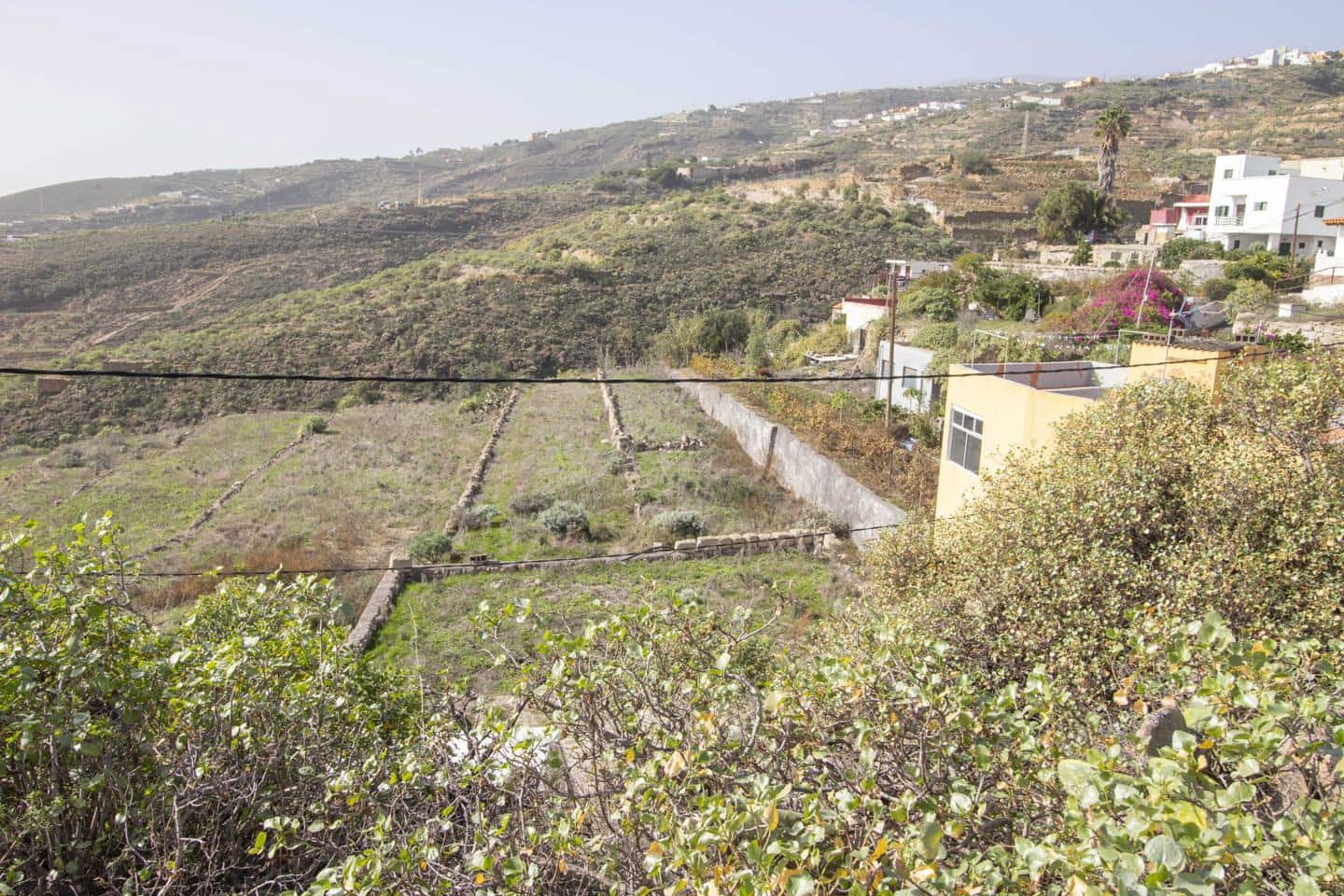 Grunde uden byggetilladelser til salg i Fasnia - € 74.000 (Ref: 8003068)