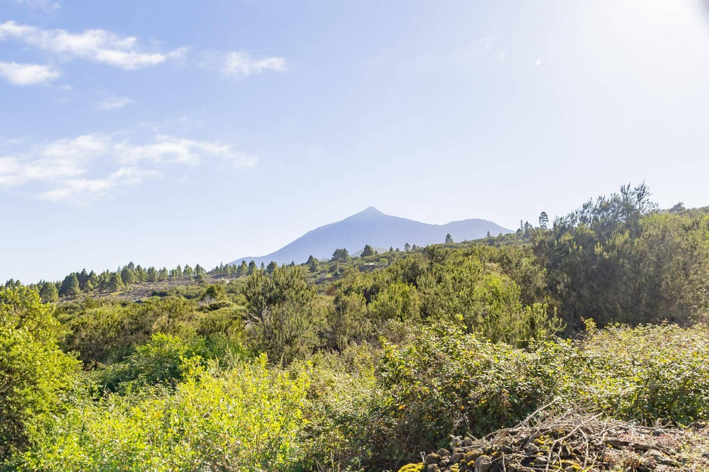 5 bedroom Finca/Country House for sale in El Tanque with garage - € 550,000 (Ref: 8048322)