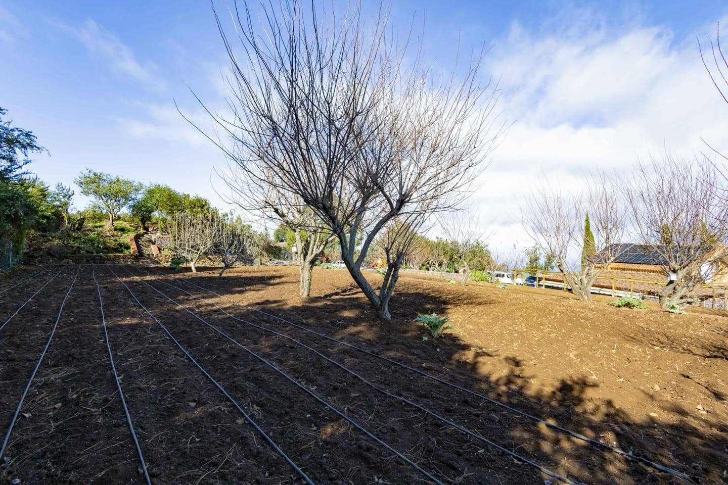 5 bedroom Finca/Country House for sale in El Tanque with garage - € 550,000 (Ref: 8048322)