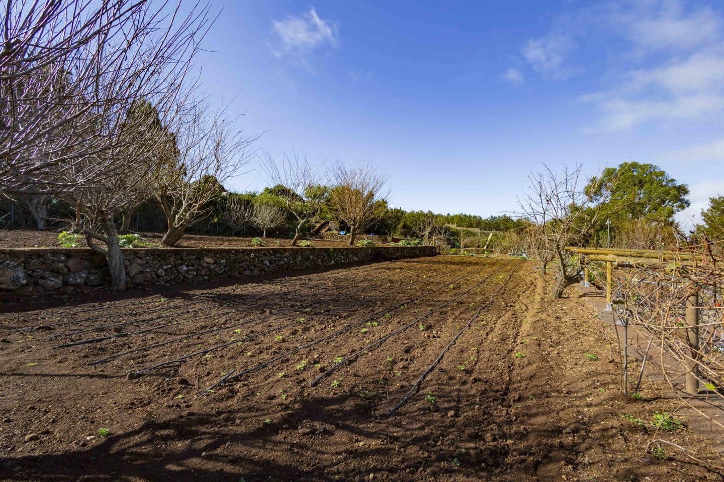 5 bedroom Finca/Country House for sale in El Tanque with garage - € 550,000 (Ref: 8048322)