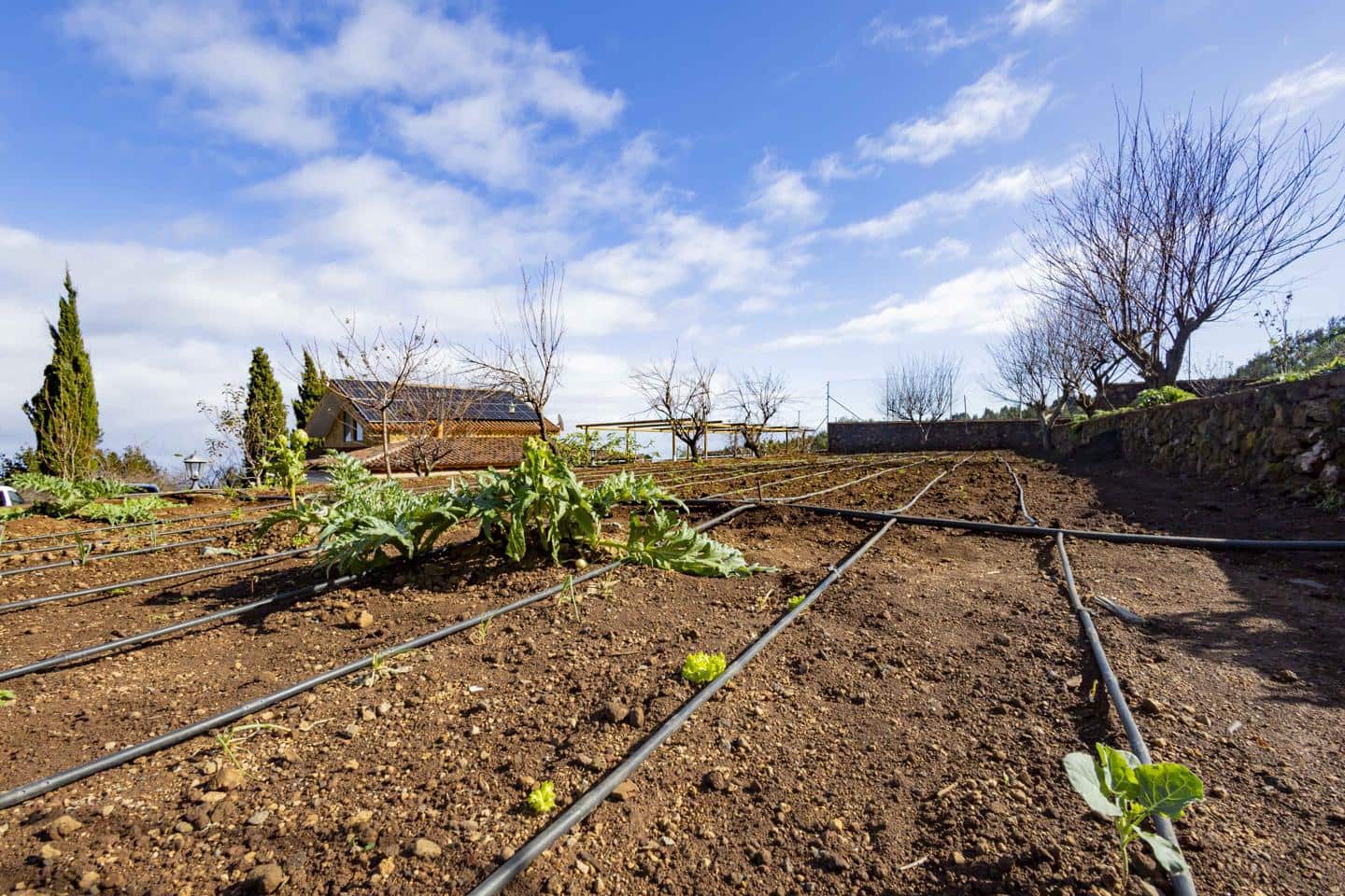 5 bedroom Finca/Country House for sale in El Tanque with garage - € 550,000 (Ref: 8048322)