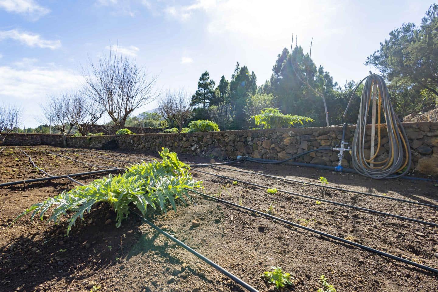 5 bedroom Finca/Country House for sale in El Tanque with garage - € 550,000 (Ref: 8048322)