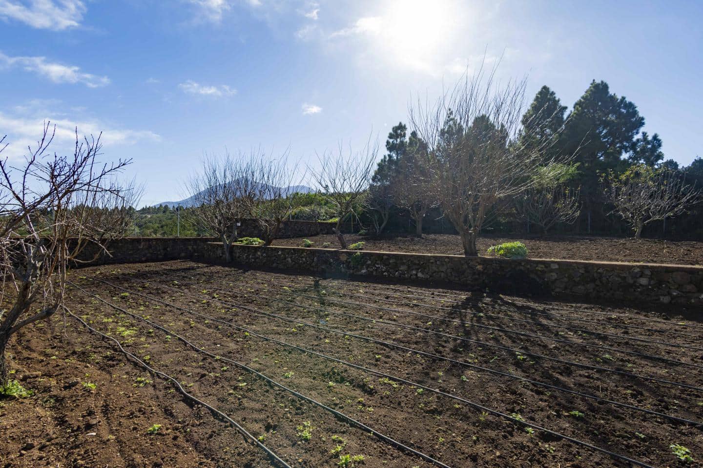 5 chambre Finca/Maison de Campagne à vendre à El Tanque avec garage - 550 000 € (Ref: 8048322)