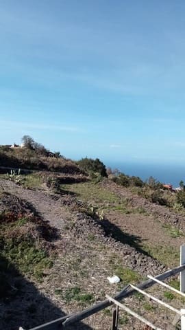 Teren niezagospodarowany na sprzedaż w Icod de los Vinos - 62 000 € (Ref: 8086691)