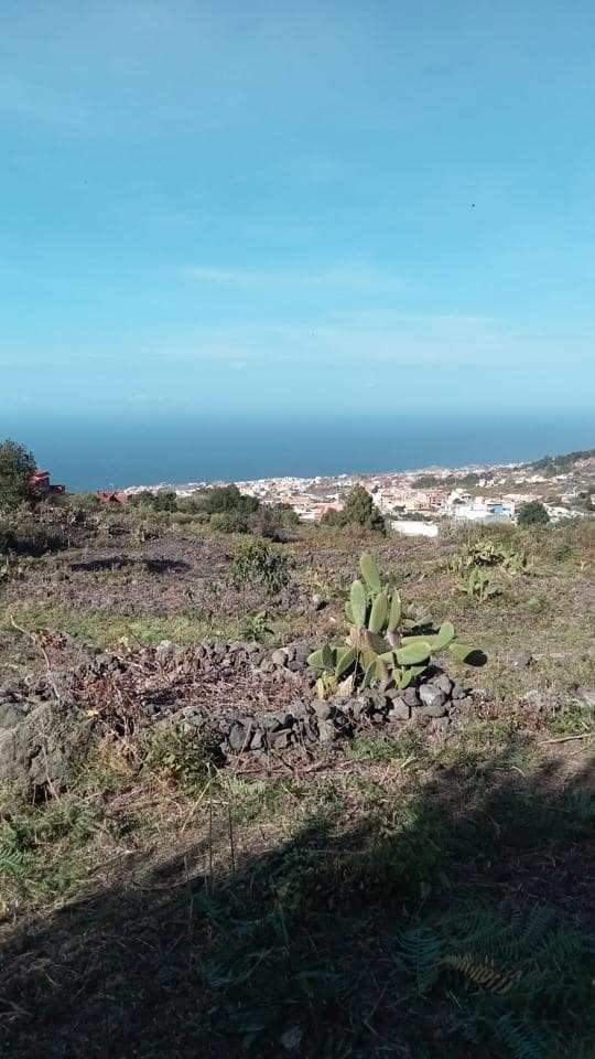 Grunde uden byggetilladelser til salg i Icod de los Vinos - € 62.000 (Ref: 8086691)
