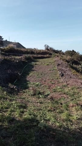 Teren niezagospodarowany na sprzedaż w Icod de los Vinos - 62 000 € (Ref: 8086691)