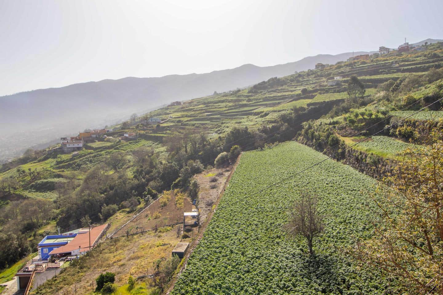 5 bedroom Villa for sale in La Orotava - € 295,000 (Ref: 8225428)