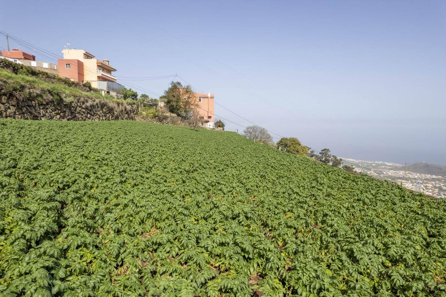 5 bedroom Villa for sale in La Orotava - € 295,000 (Ref: 8225428)