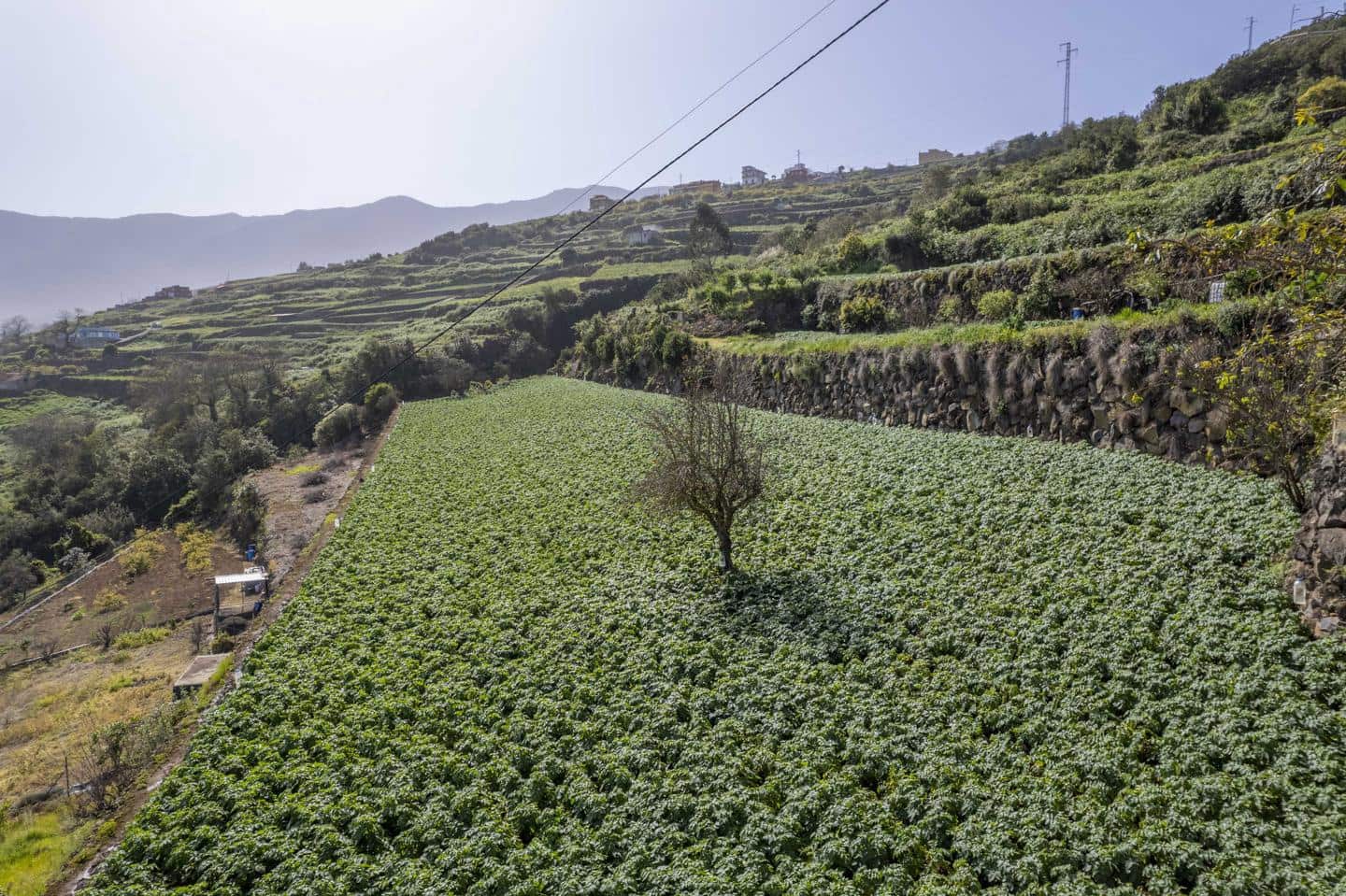 5 bedroom Villa for sale in La Orotava - € 295,000 (Ref: 8225428)