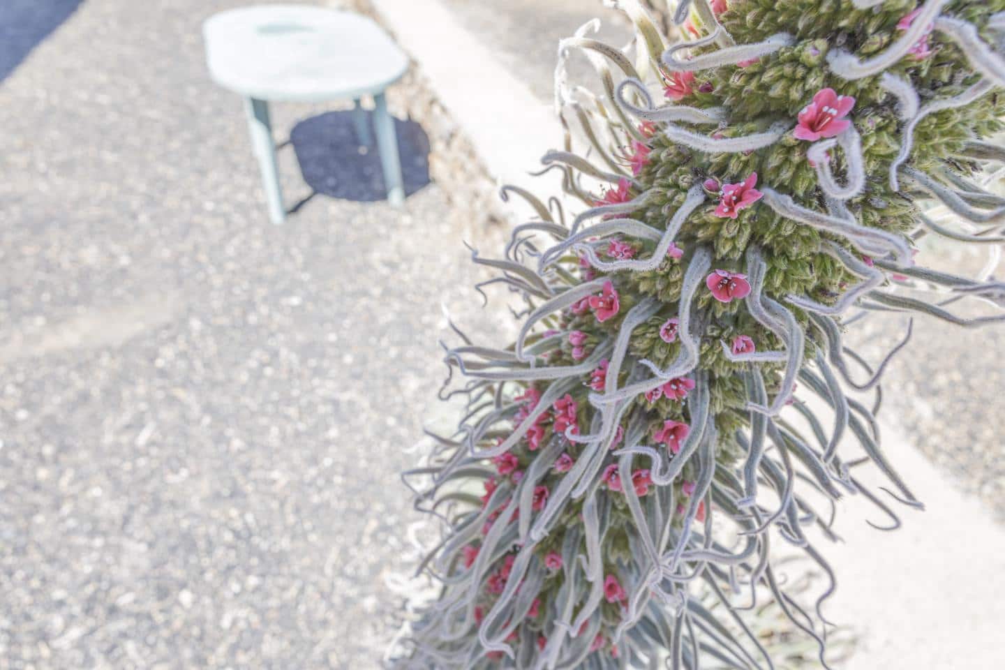 4 soveværelse Villa til salg i La Orotava - € 499.000 (Ref: 8260510)