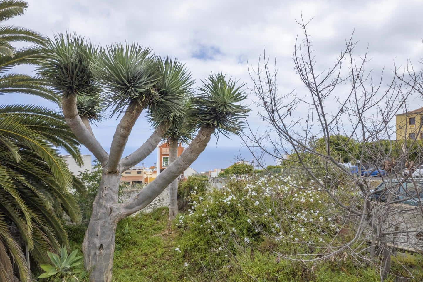 Grunde uden byggetilladelser til salg i La Guancha - € 38.500 (Ref: 8293154)