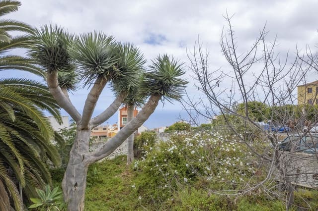 Undeveloped Land for sale in La Guancha - € 38,500 (Ref: 8293154)