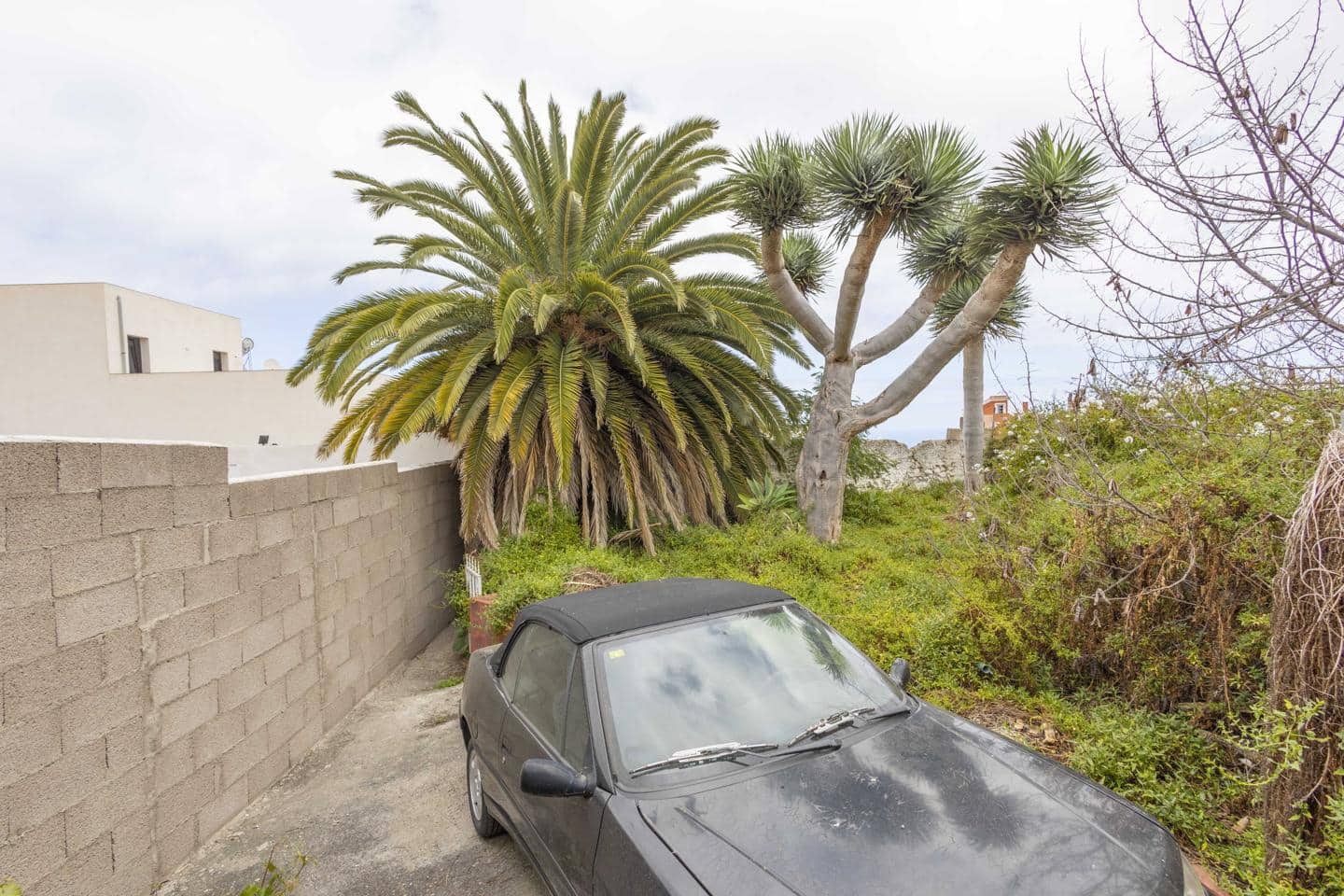 Grunde uden byggetilladelser til salg i La Guancha - € 38.500 (Ref: 8293154)