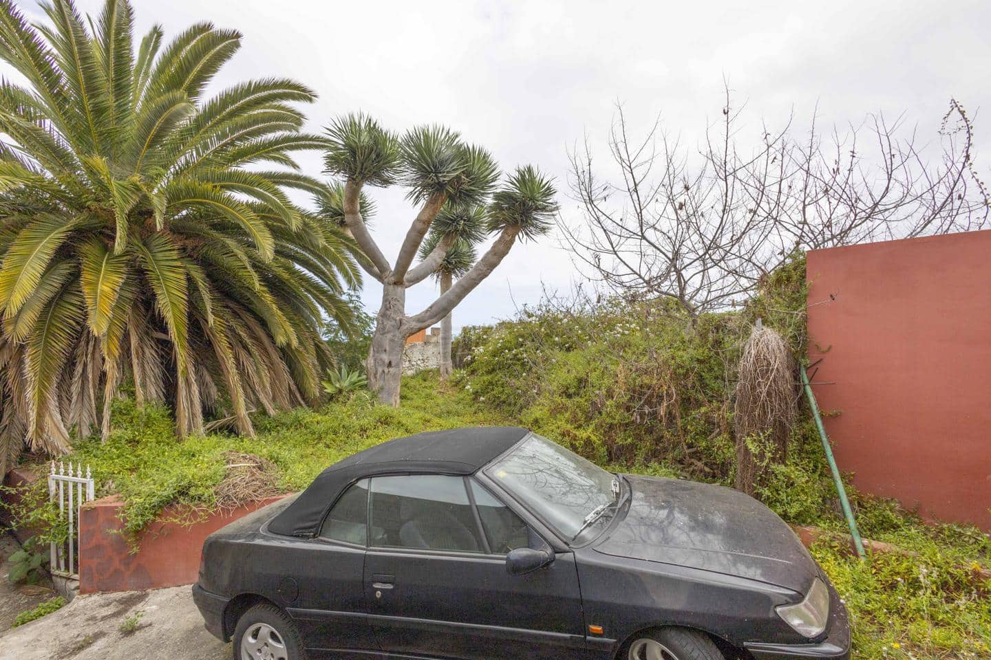 Grunde uden byggetilladelser til salg i La Guancha - € 38.500 (Ref: 8293154)