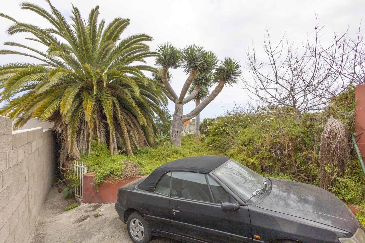 Grunde uden byggetilladelser til salg i La Guancha - € 38.500 (Ref: 8293154)