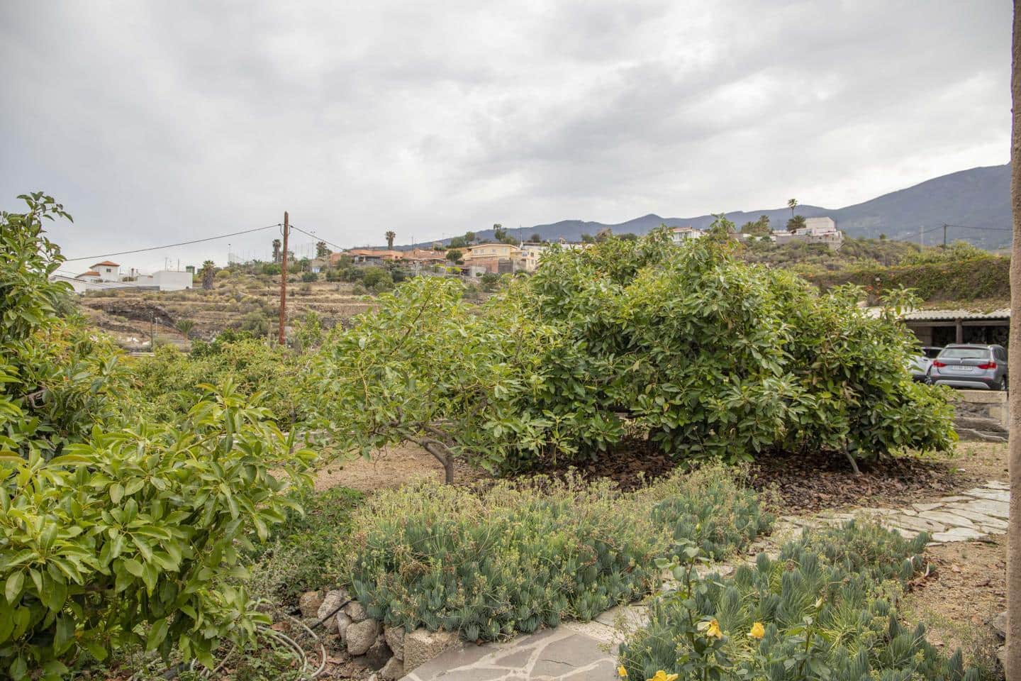 5 soveværelse Villa til salg i Arafo med swimmingpool garage - € 990.000 (Ref: 8307341)