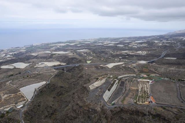Terre non Aménagée à vendre à Guía de Isora - 120 000 € (Ref: 8371511)