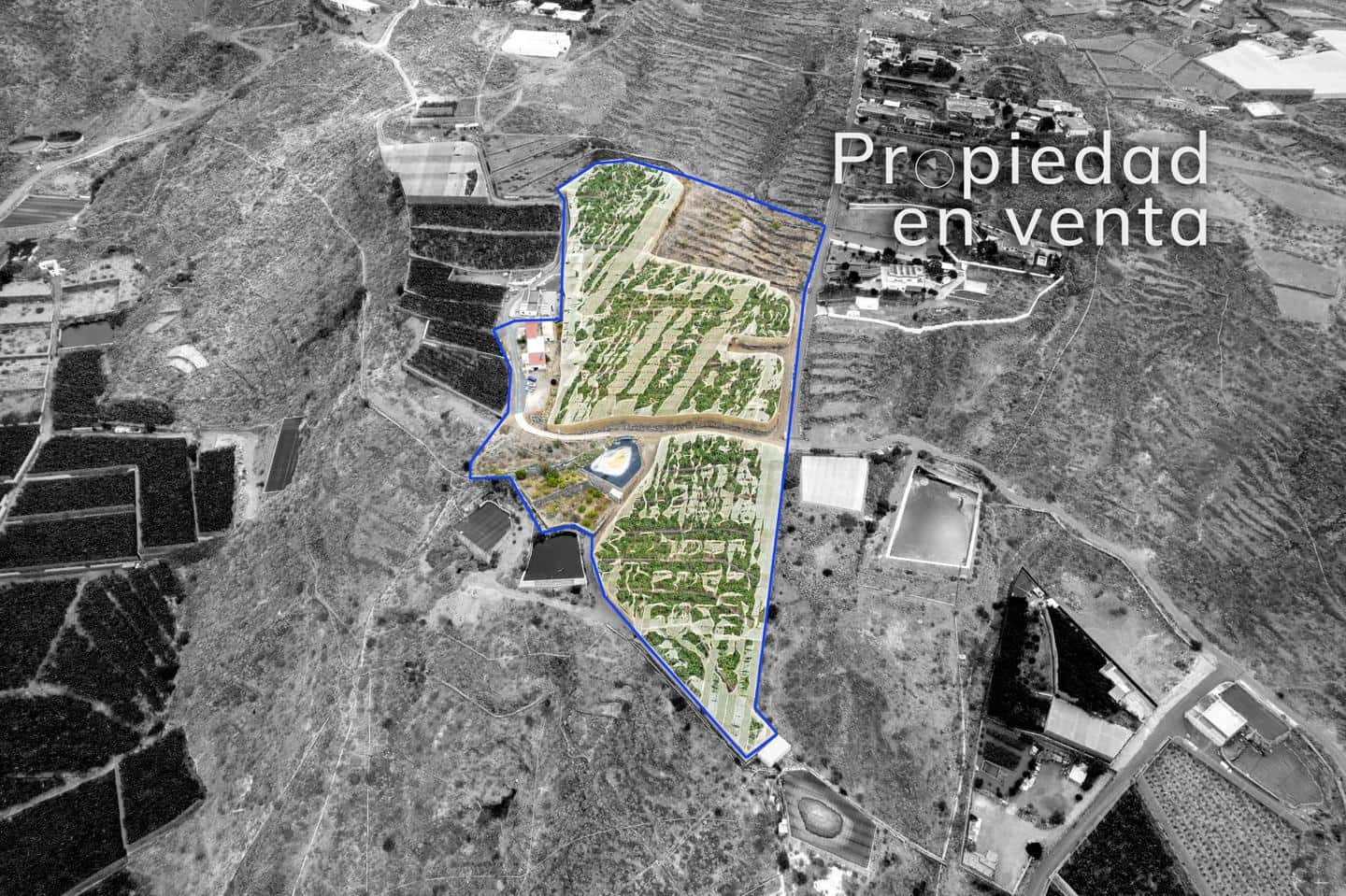 Grunde uden byggetilladelser til salg i Guia de Isora - € 990.000 (Ref: 8372331)