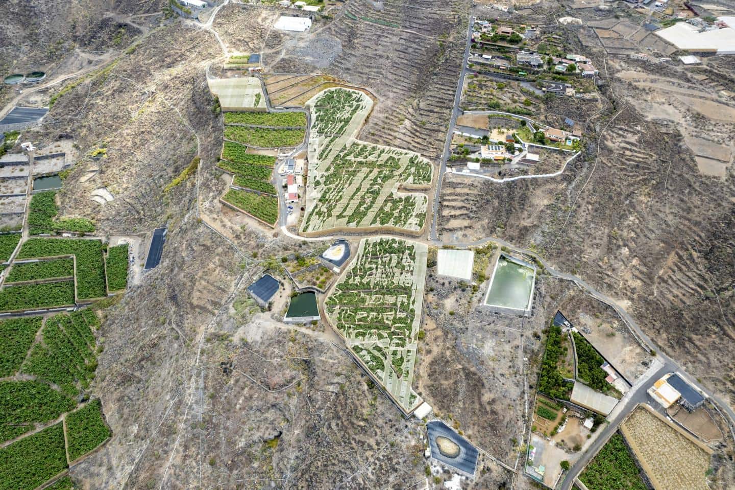 Grunde uden byggetilladelser til salg i Guia de Isora - € 990.000 (Ref: 8372331)