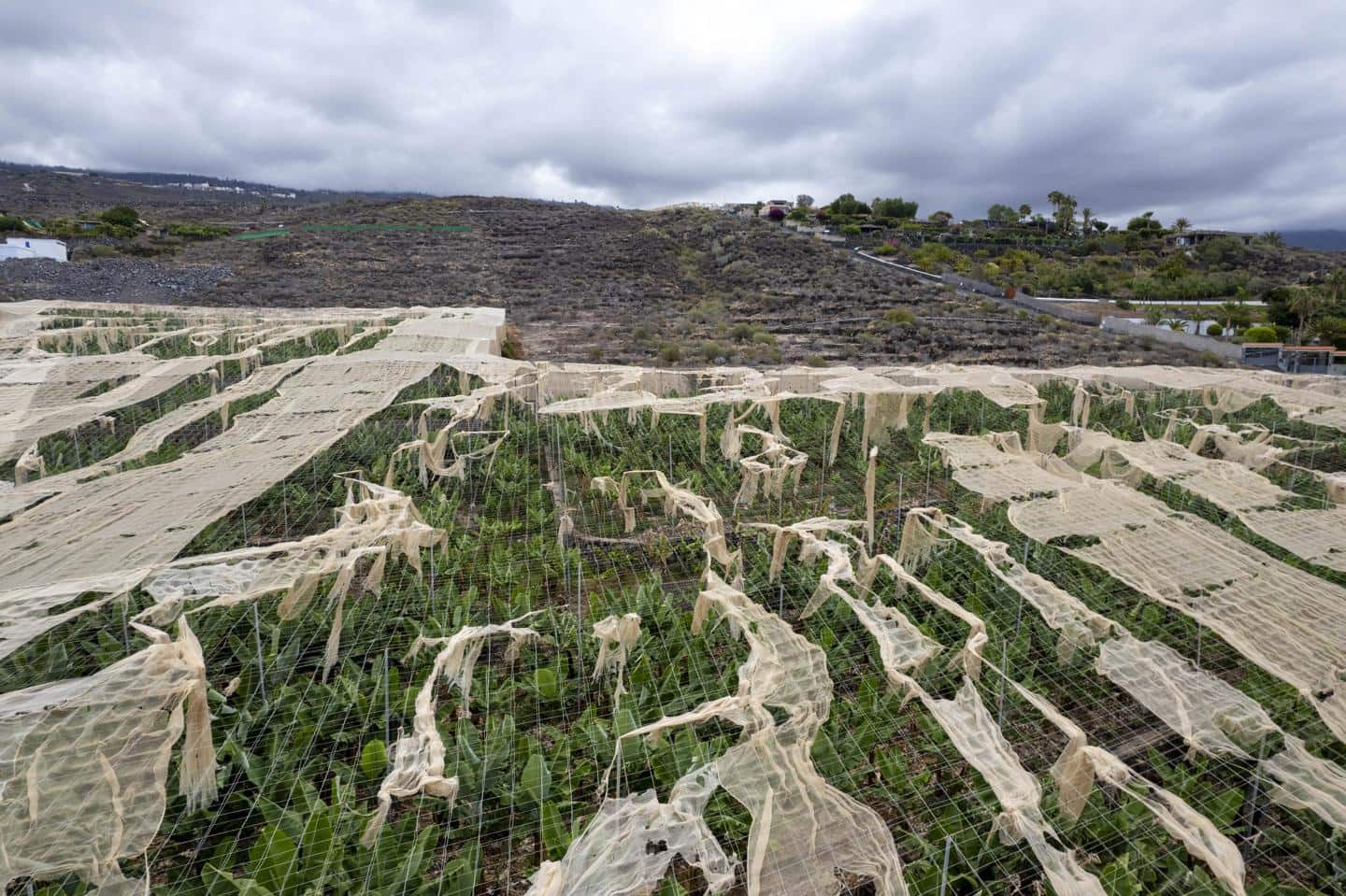 Grunde uden byggetilladelser til salg i Guia de Isora - € 990.000 (Ref: 8372331)