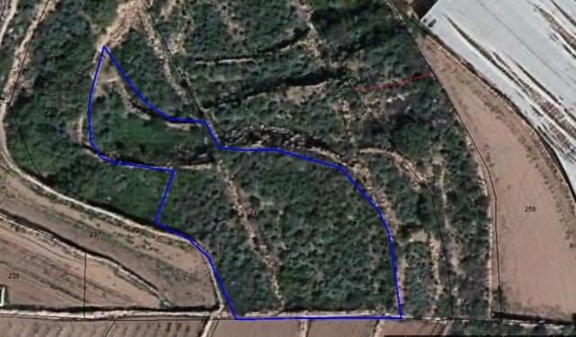 Grond te koop in Villa de Arico, Arico - € 21.000 (Ref: 8451638)