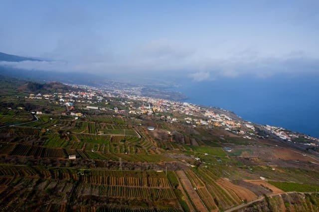 Undeveloped Land for sale in El Sauzal - € 20,000 (Ref: 8467119)