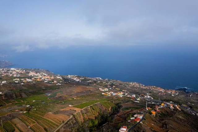 Undeveloped Land for sale in El Sauzal - € 20,000 (Ref: 8467119)