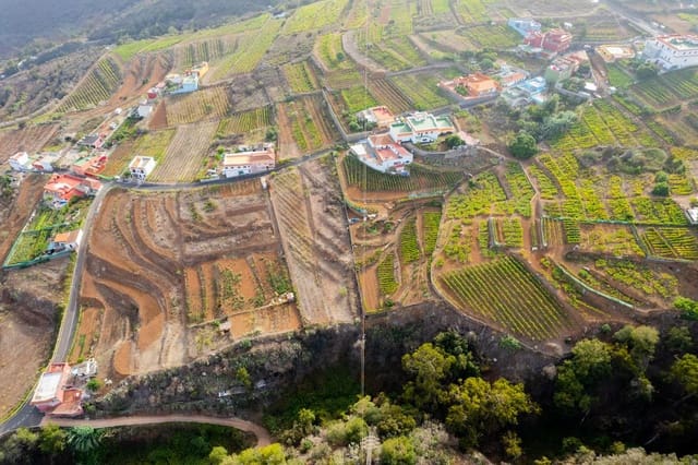 Undeveloped Land for sale in El Sauzal - € 20,000 (Ref: 8467119)