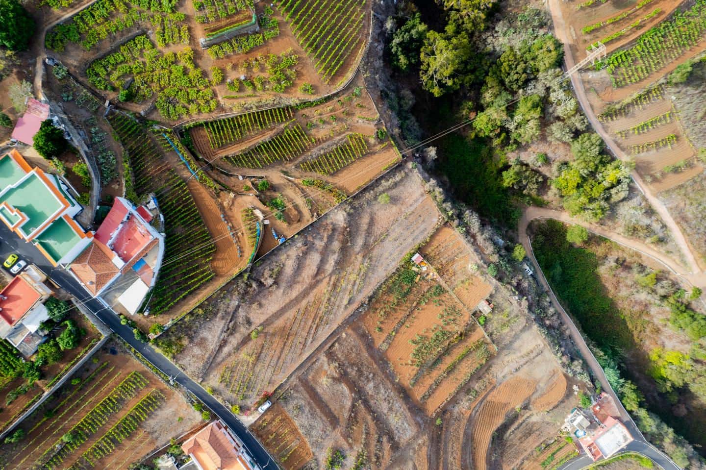 Grunde uden byggetilladelser til salg i El Sauzal - € 20.000 (Ref: 8467119)