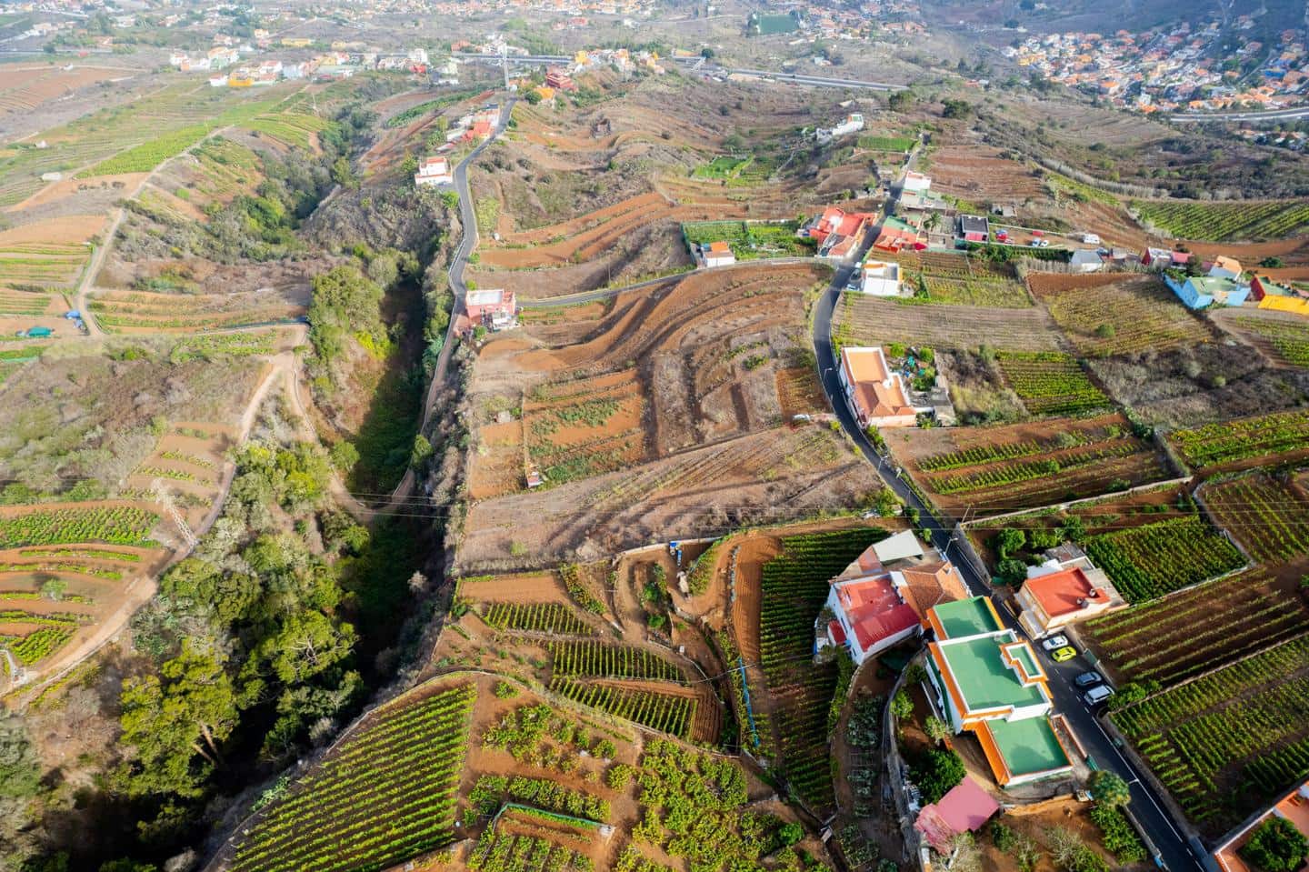 Grunde uden byggetilladelser til salg i El Sauzal - € 20.000 (Ref: 8467119)