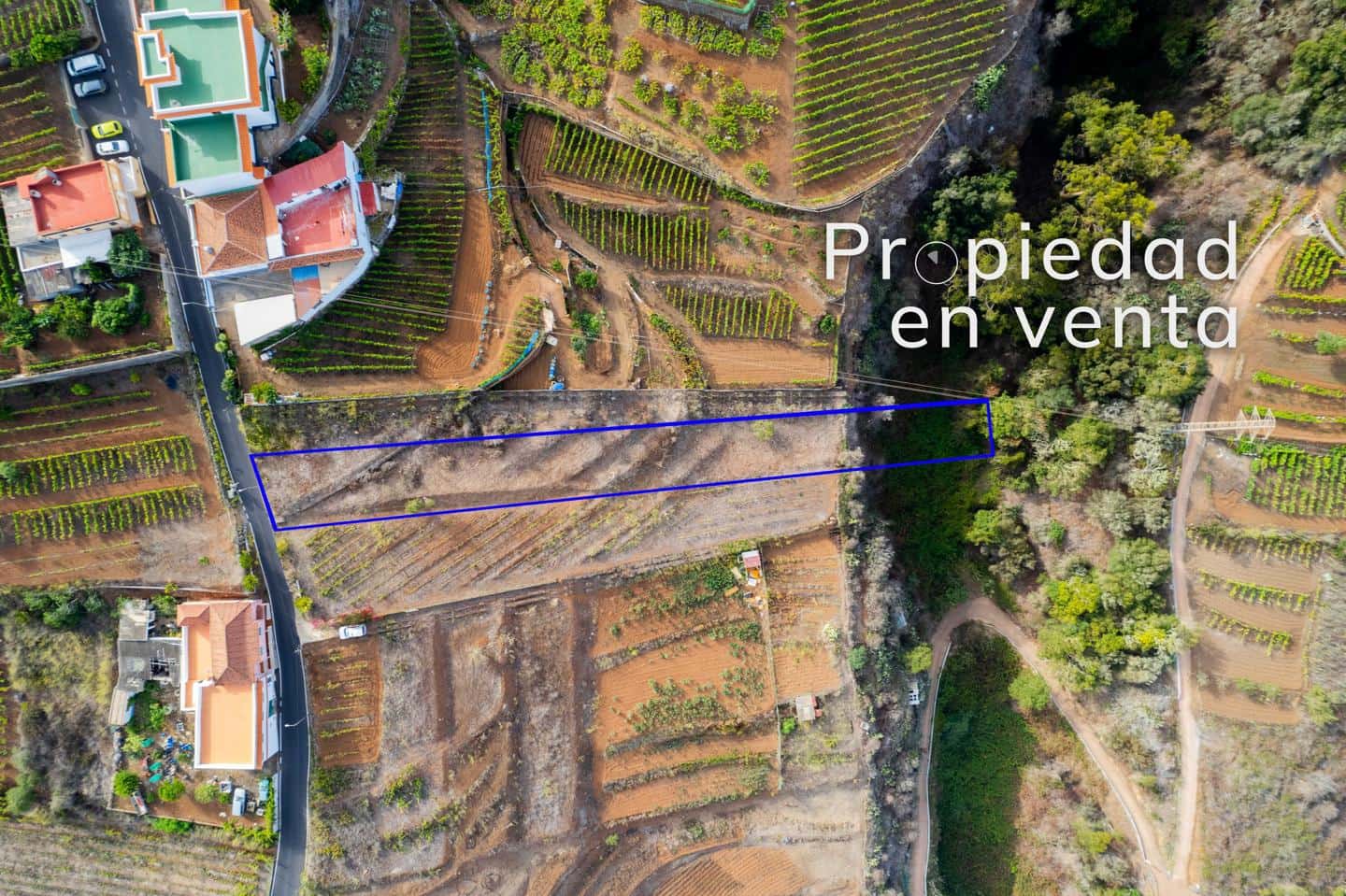 Grunde uden byggetilladelser til salg i El Sauzal - € 20.000 (Ref: 8467119)