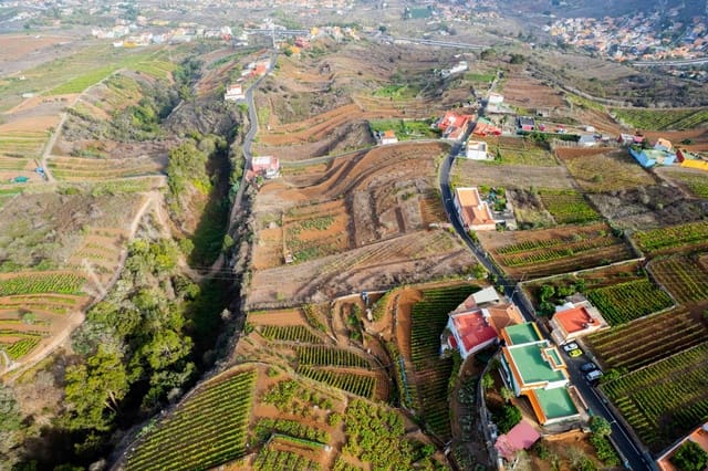 Undeveloped Land for sale in El Sauzal - € 20,000 (Ref: 8467119)