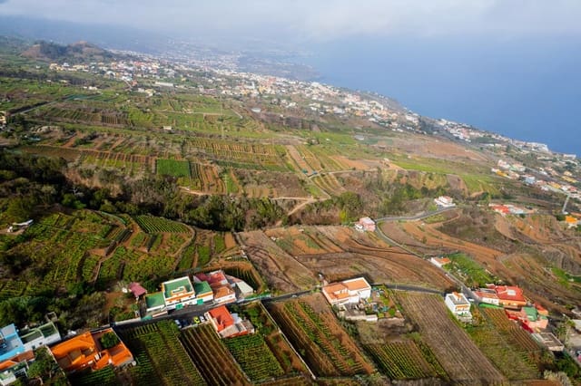 Undeveloped Land for sale in El Sauzal - € 20,000 (Ref: 8467119)