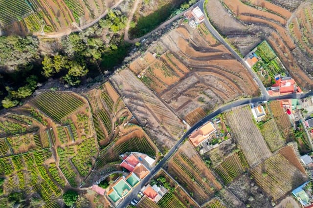 Undeveloped Land for sale in El Sauzal - € 20,000 (Ref: 8467119)