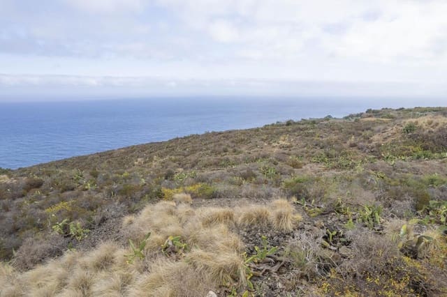 Undeveloped Land for sale in San Juan de la Rambla - € 111,000 (Ref: 8486981)